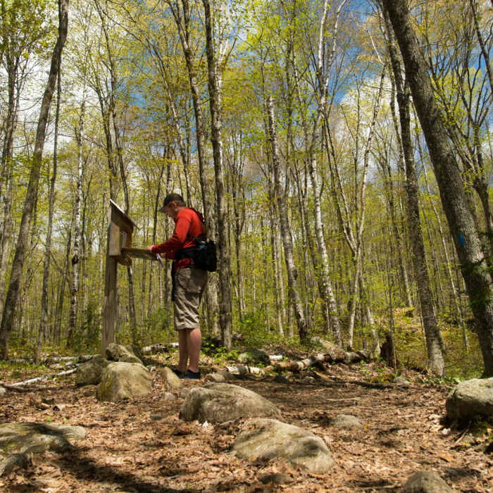 Near Mt. Pisgah Out-and-Back Near Mt. Pisgah Out-and-Back