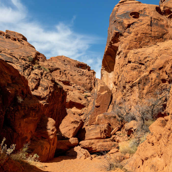 Near Mouse's Tank Trail