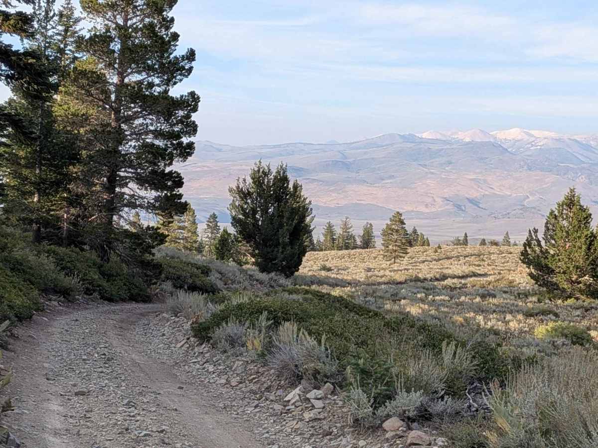Stockade Flat Road photo 2