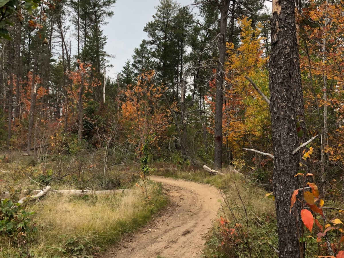 Big Bear photo 6