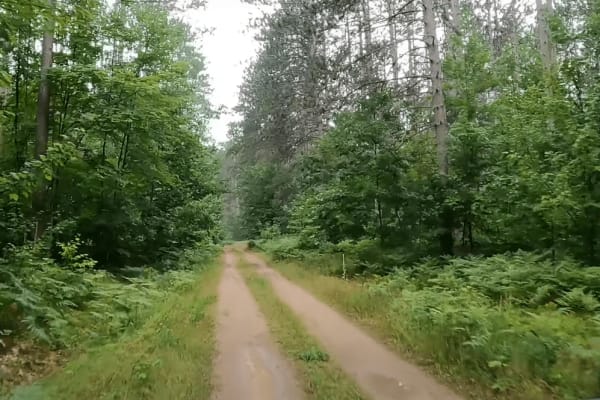 USFS 5401
