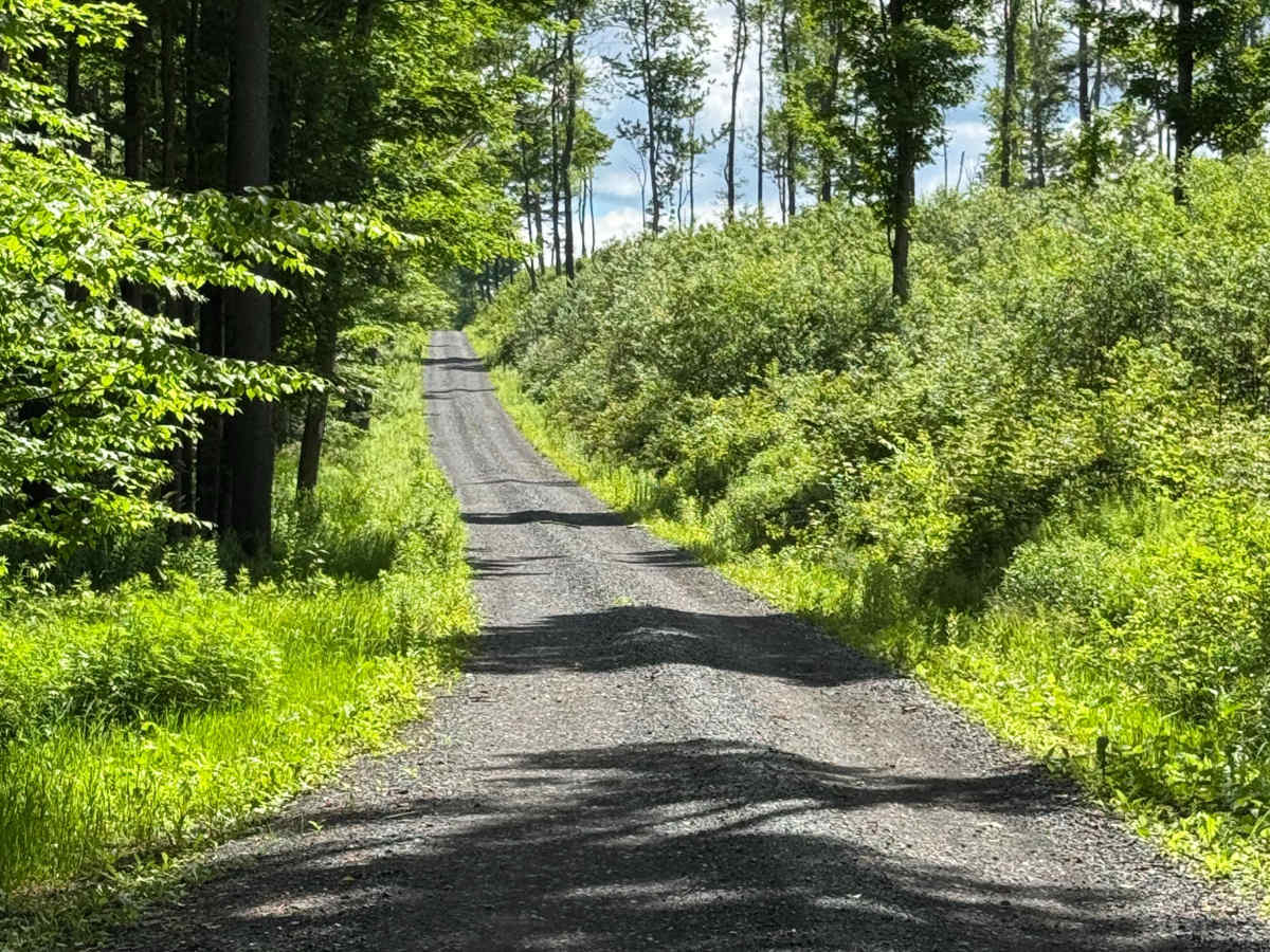 Sunken Branch Road photo 6