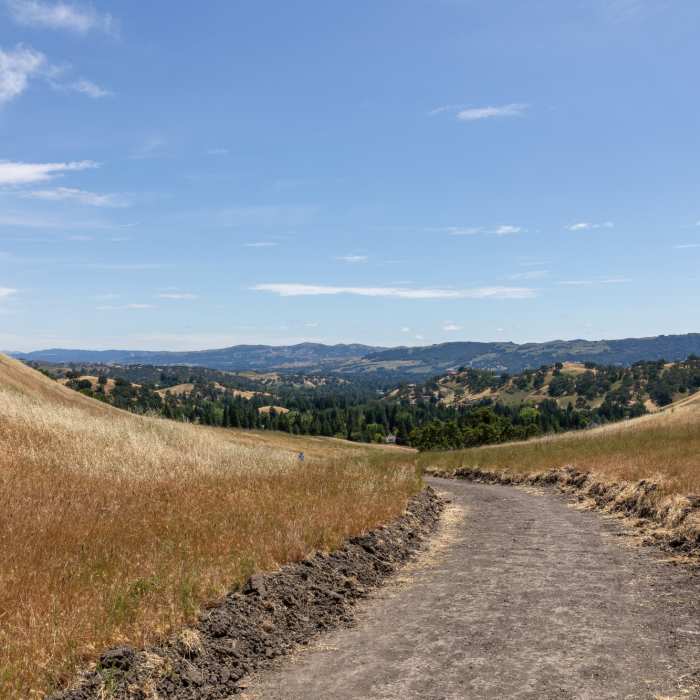 Near Stage Road Loop