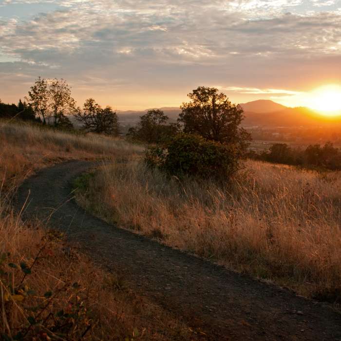 Rick Hammond's photo of the Springbox Savanna at sunset. Near Swing Hill