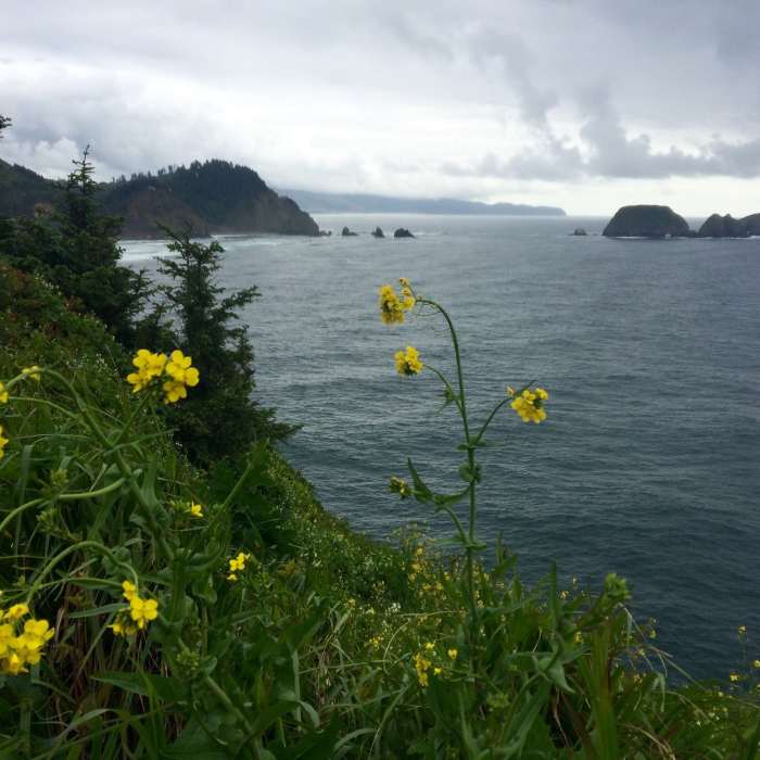 Near Cape Meares Lighthouse Loop