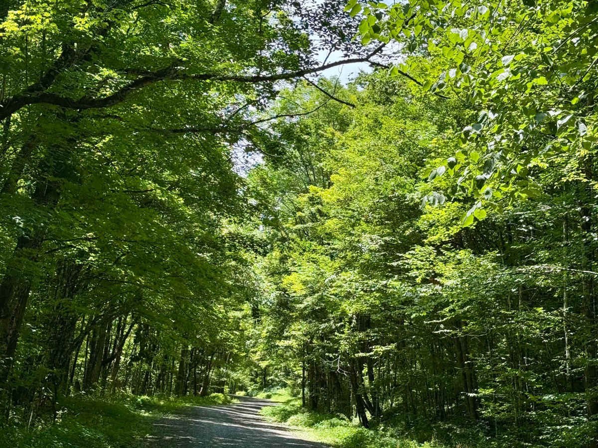 Mine Road 219/1 photo 5