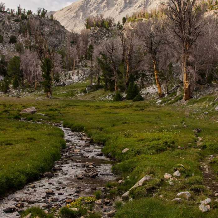 Near Broad Canyon: Betty, Goat + Baptie Lakes and the Surprise Valley Divide