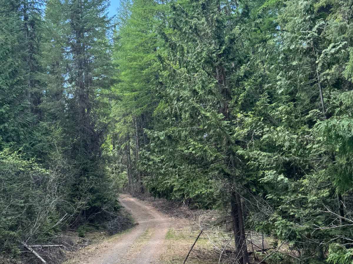 Barnaby Buttes  Trail photo 6