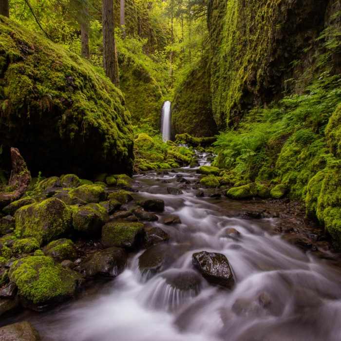 Near Ruckel Ridge Loop Hike
