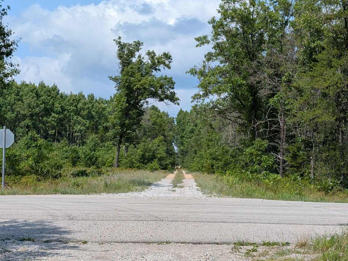 McArdle Road - FS 4432 photo 6