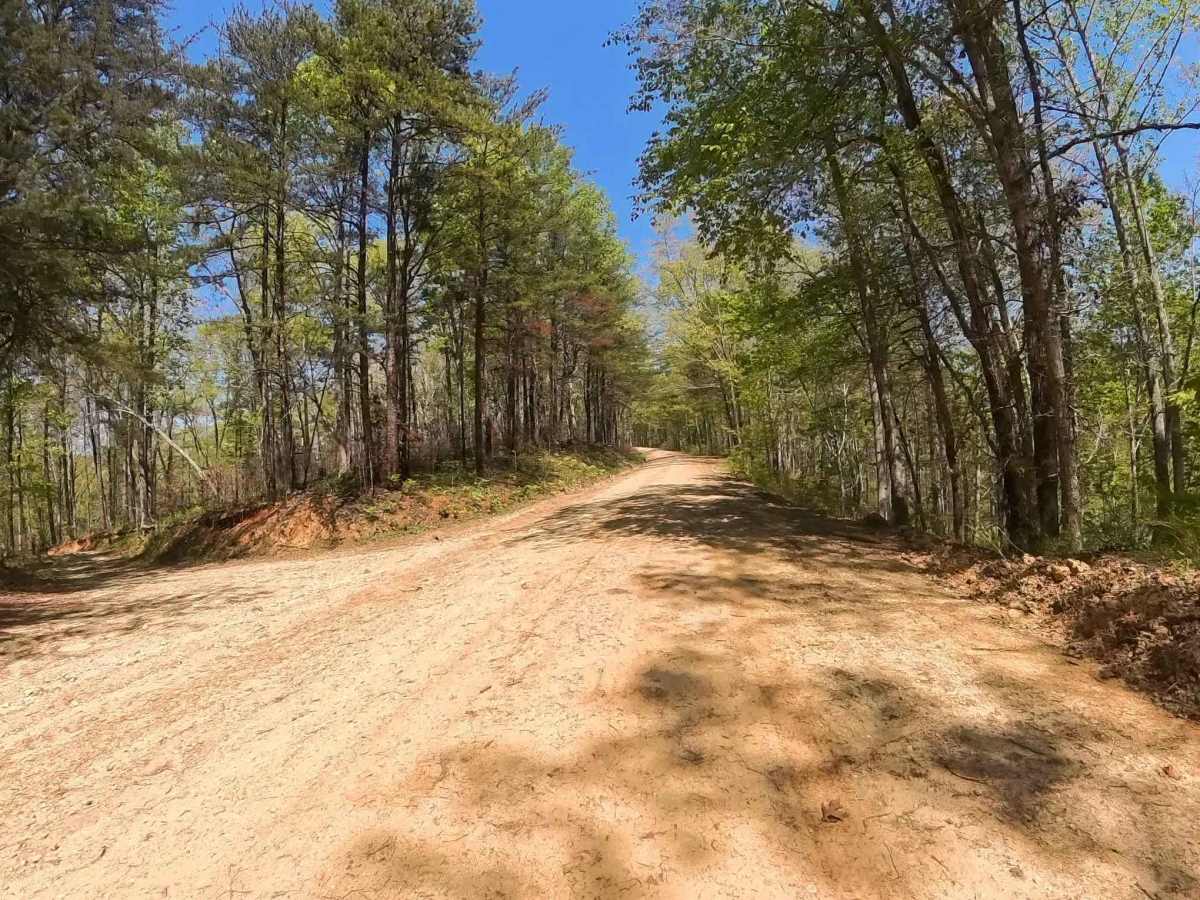 Forest Road 744C trail photo