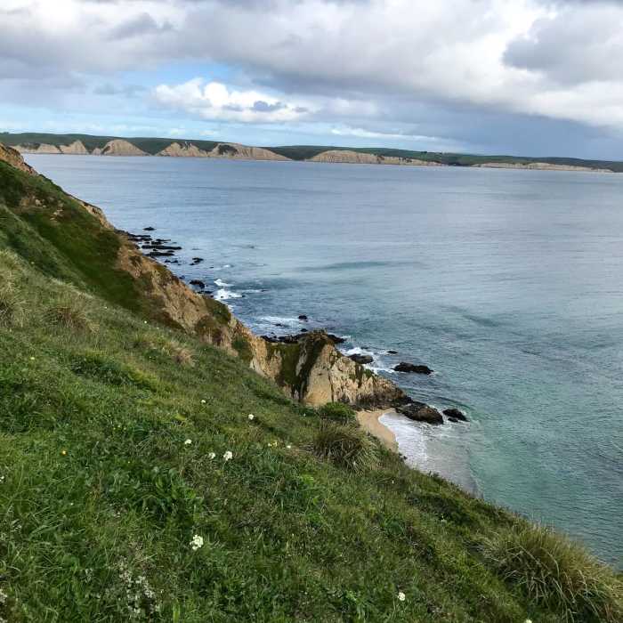 Near Chimney Rock, Elephant Seal Overlook & Lifeboat Station