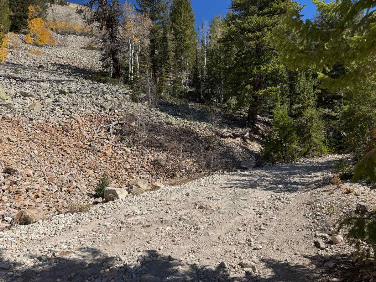 Royal Flush Road photo 5