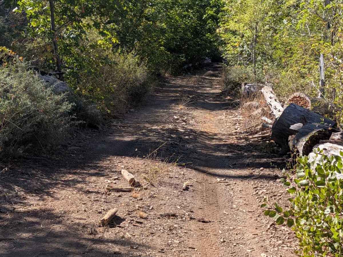 Chanchelulla Gulch Road - FS 30N15  photo 4