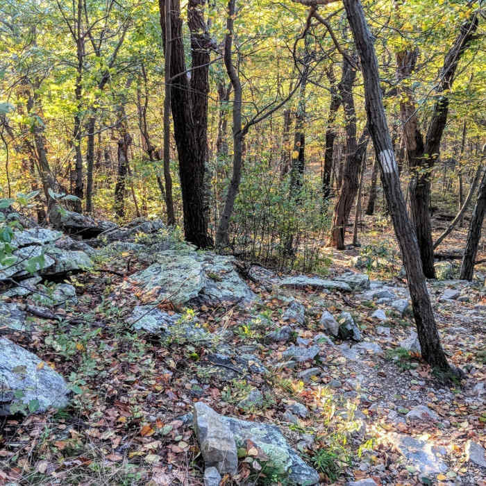 Typical trail terrain in between the many viewpoints along the AT in northern New Jersey. Near Appalachian Trail to Observation Platform