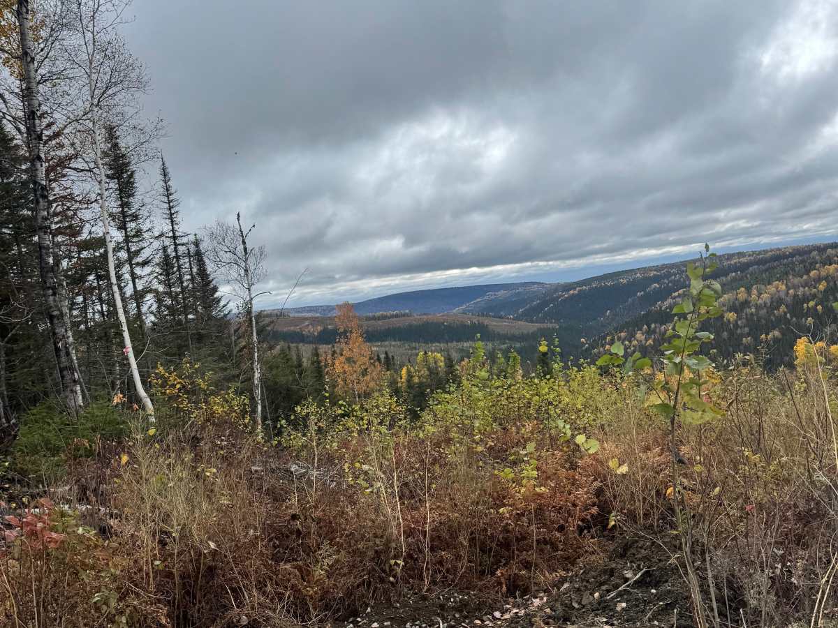 Bonaventure’s Backcountry Trail trail photo