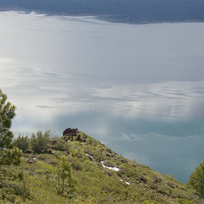 Near Eagle Lake South Shore