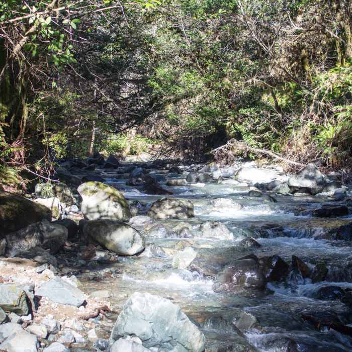 Near Myrtle Creek Trail