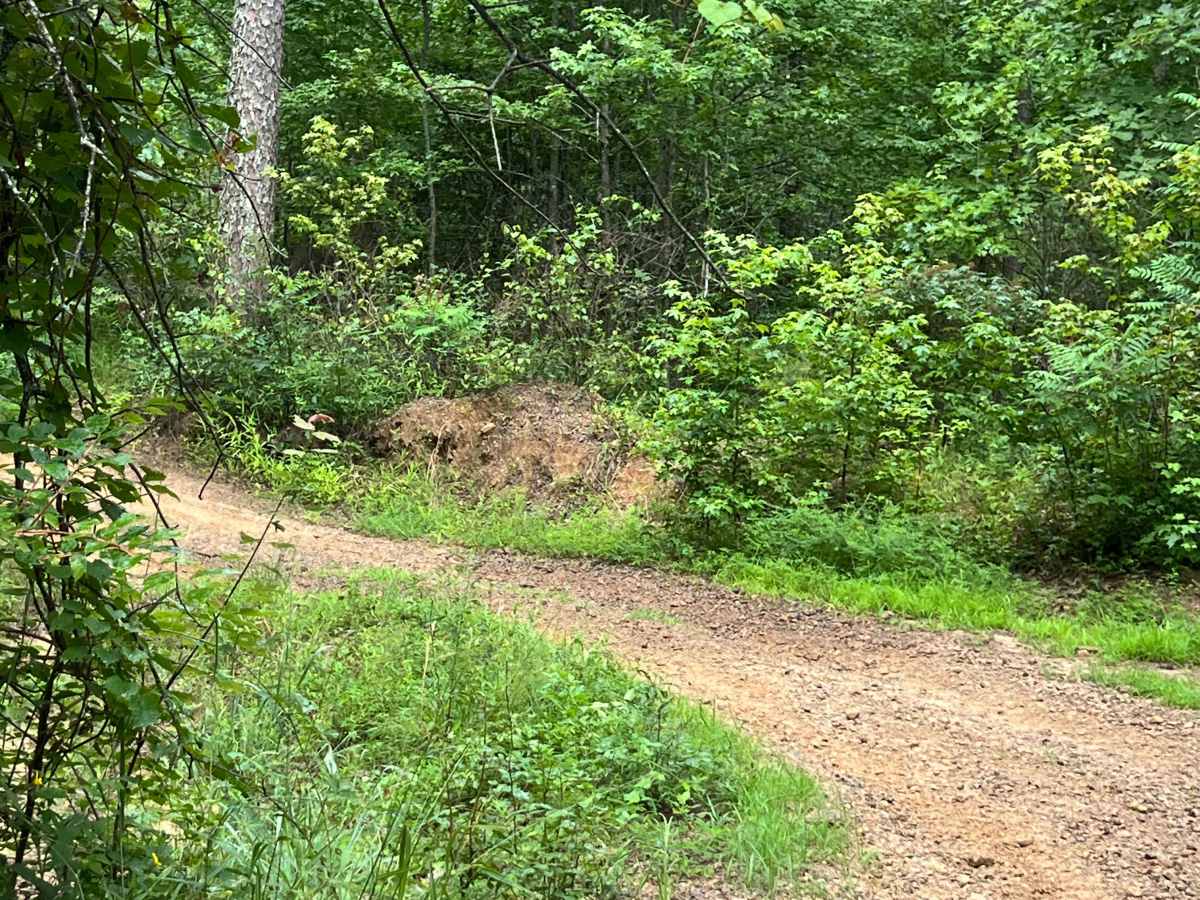 Kincannon Run - FS 1318 photo 6