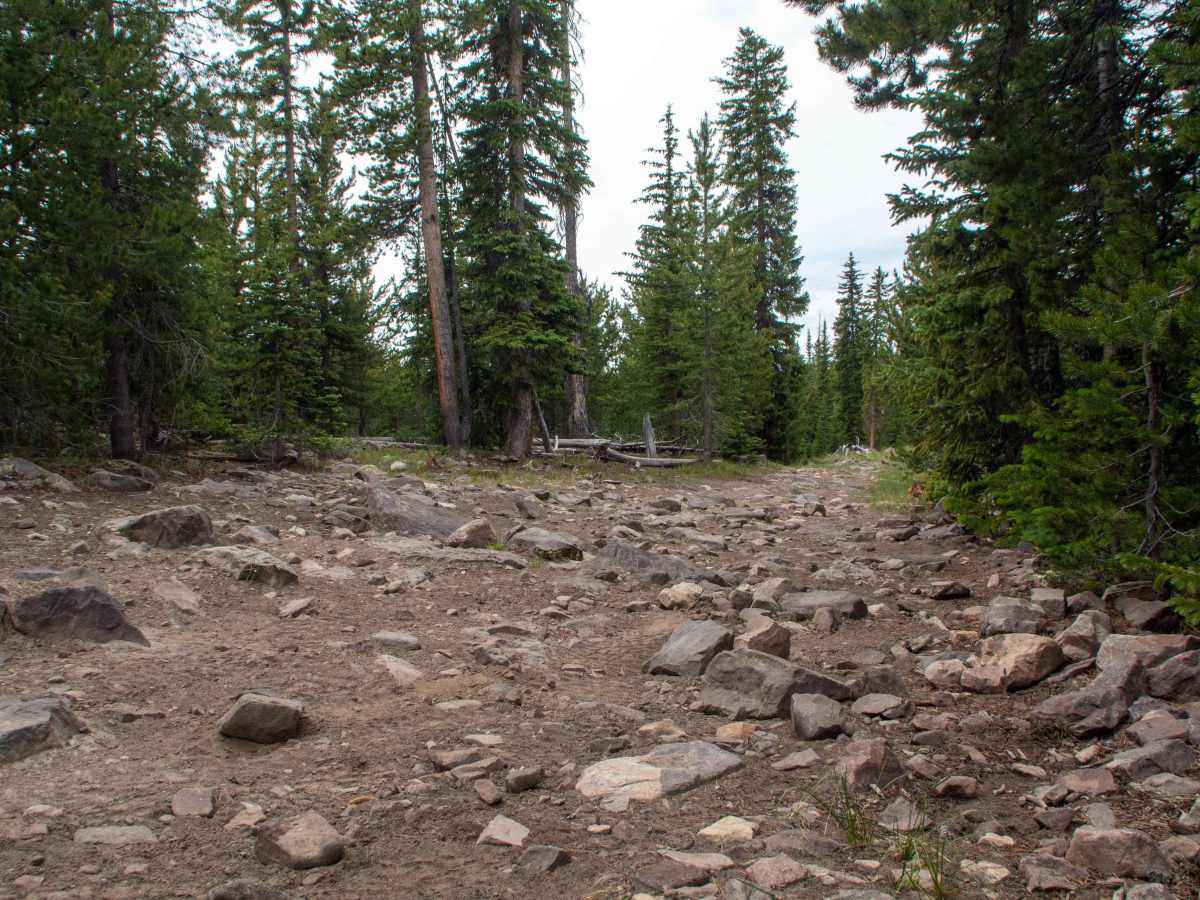 Cobble Creek S14 - FR80949 photo 6