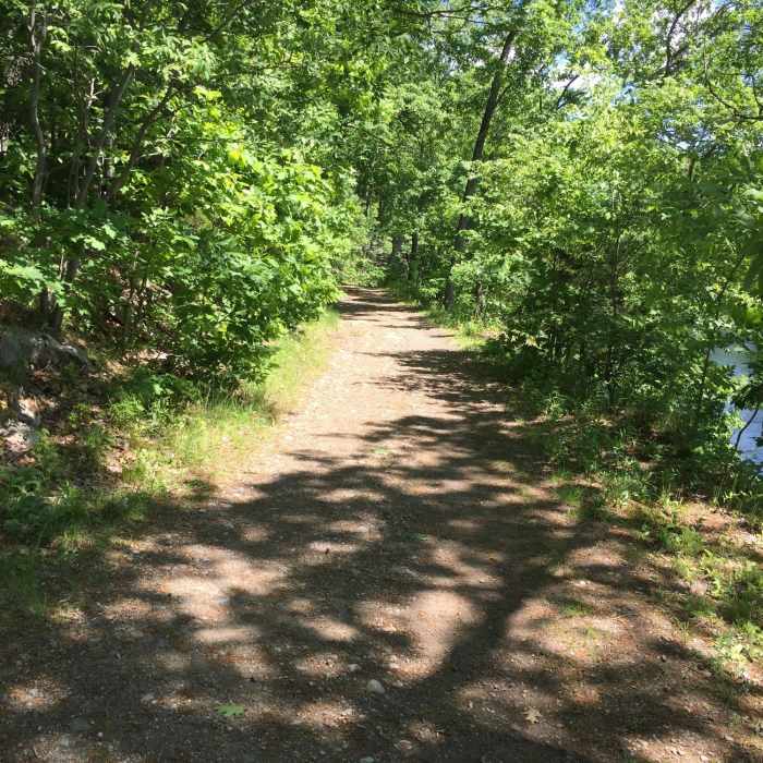 Near Sterling Lake Trail