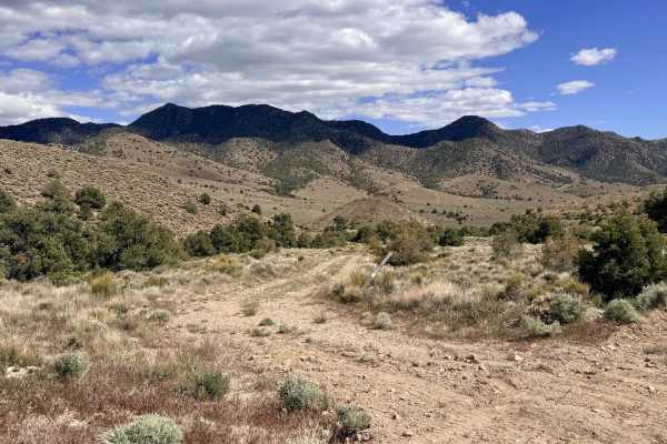  Four Mile Spring- FS 44018B