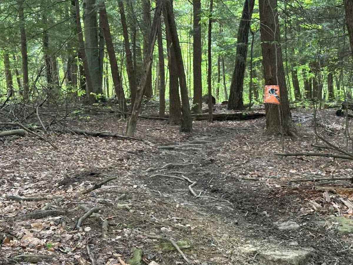 Orange Single Track G9 - A photo 2