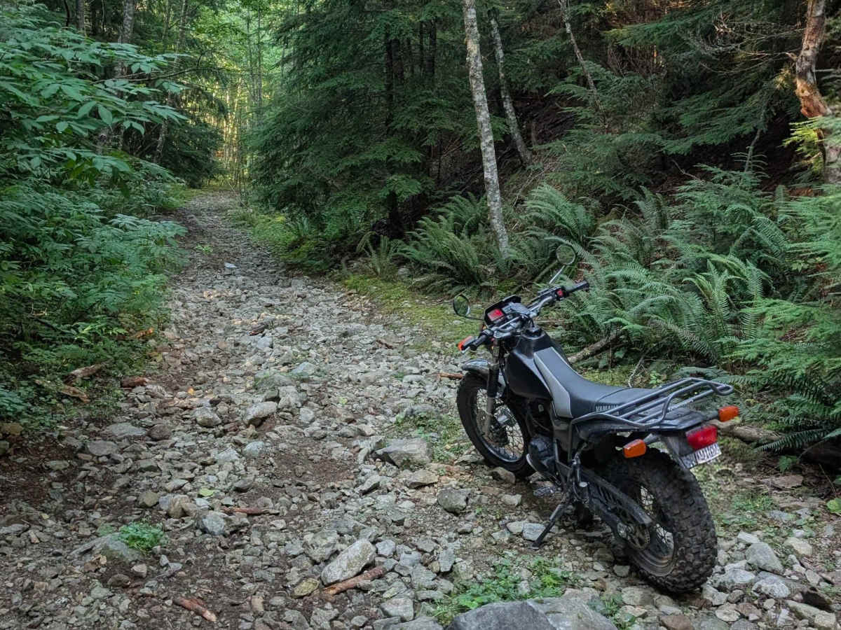 Middle Fork trail photo