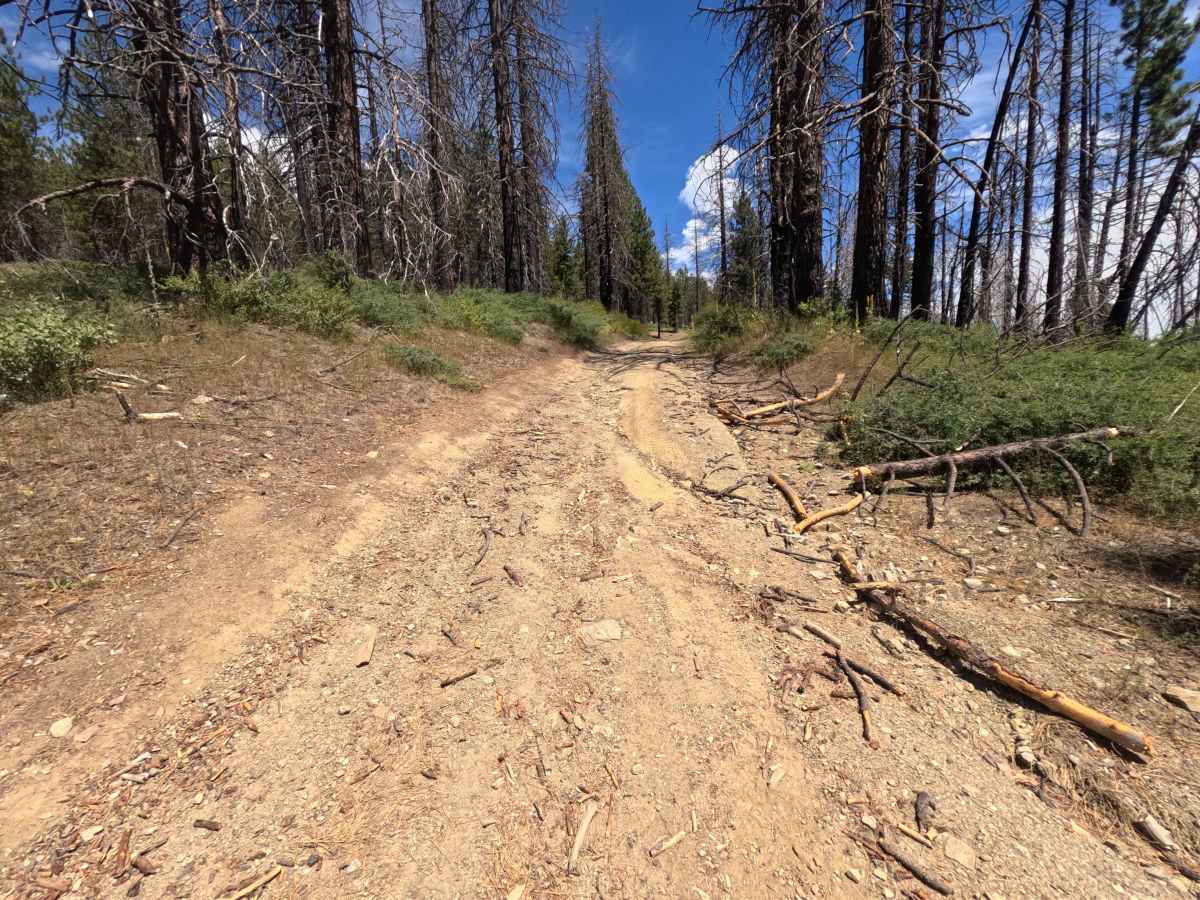 Postpile - FS 24N38 photo 4