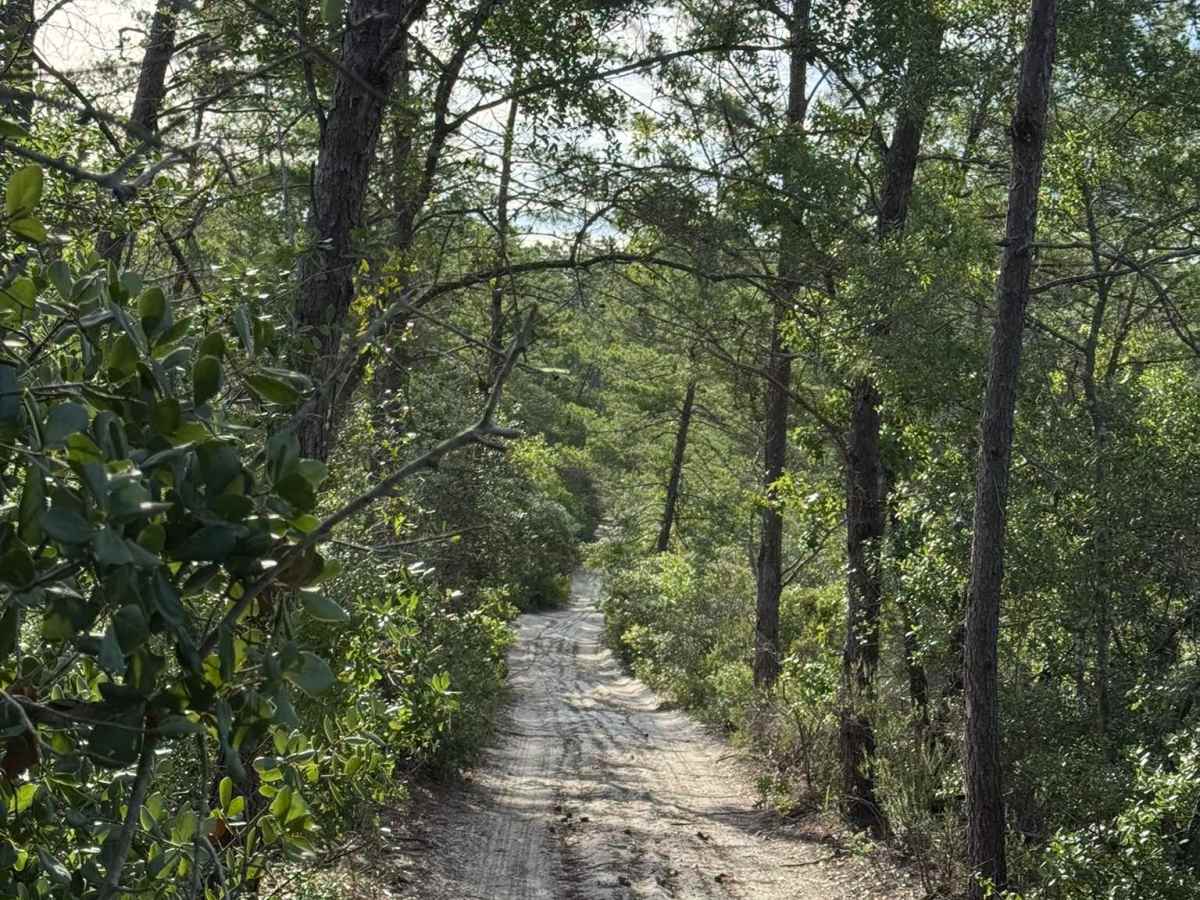Pine Arch Trail trail photo