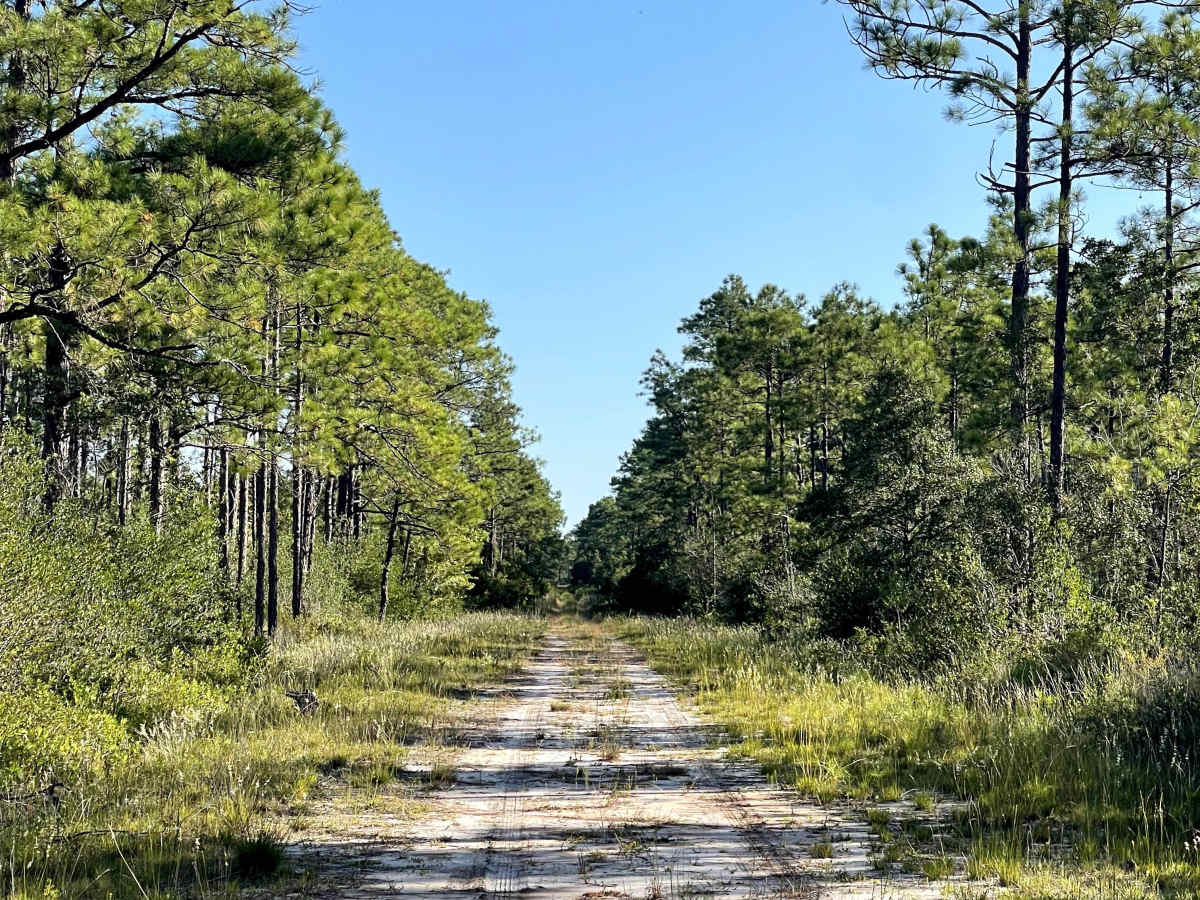 Holiday Loop trail photo