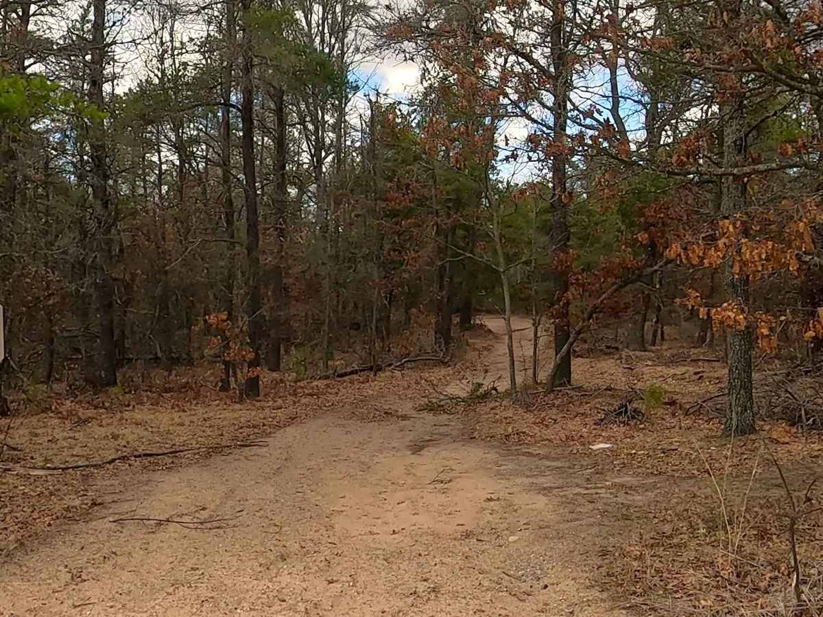 Bull Gap - ORV H57 photo 3