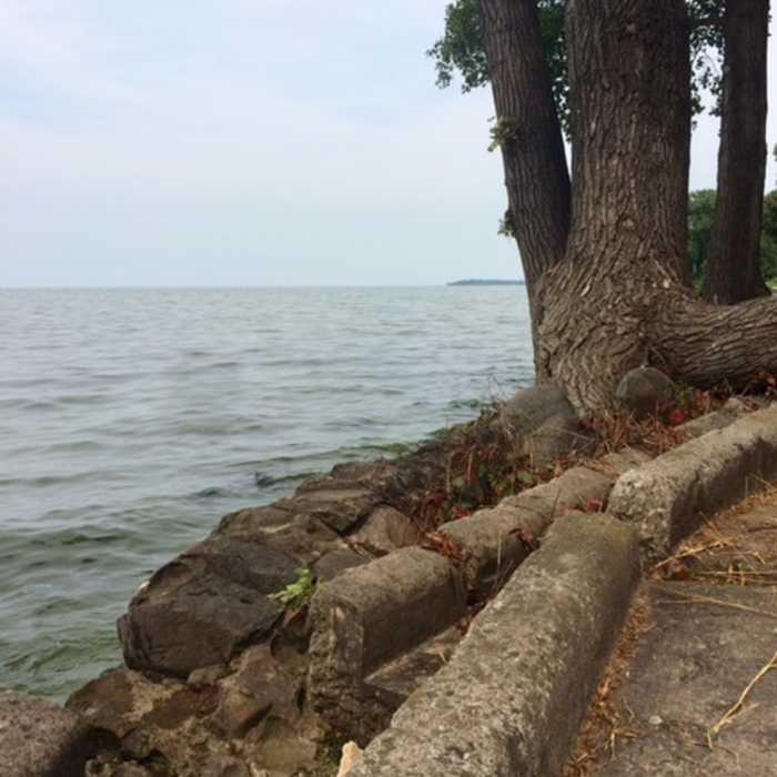 Near University of Wisconsin-Green Bay Cofrin Arboretum