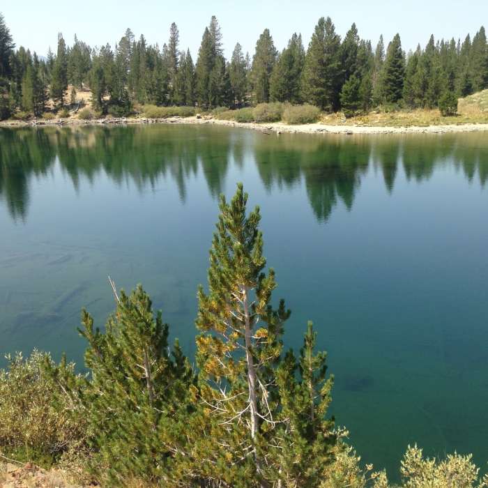 Near Heart Lake Trail