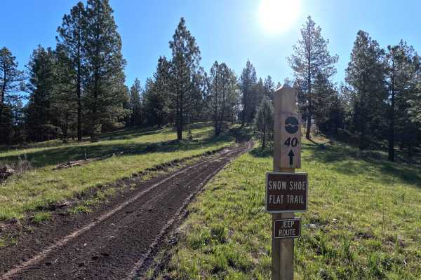 Snow Shoe Flat Trail - 40