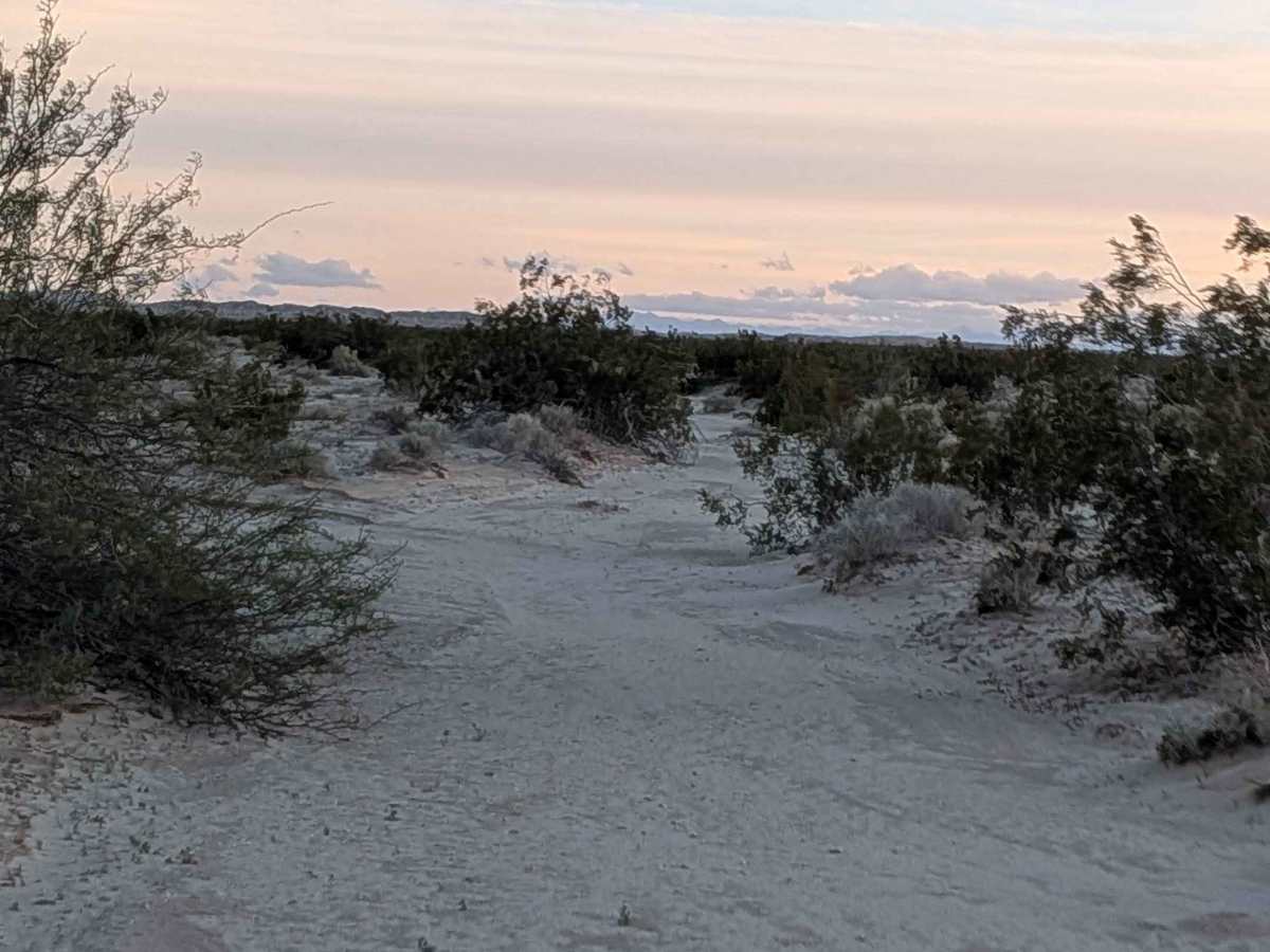 BLM 325 photo 3