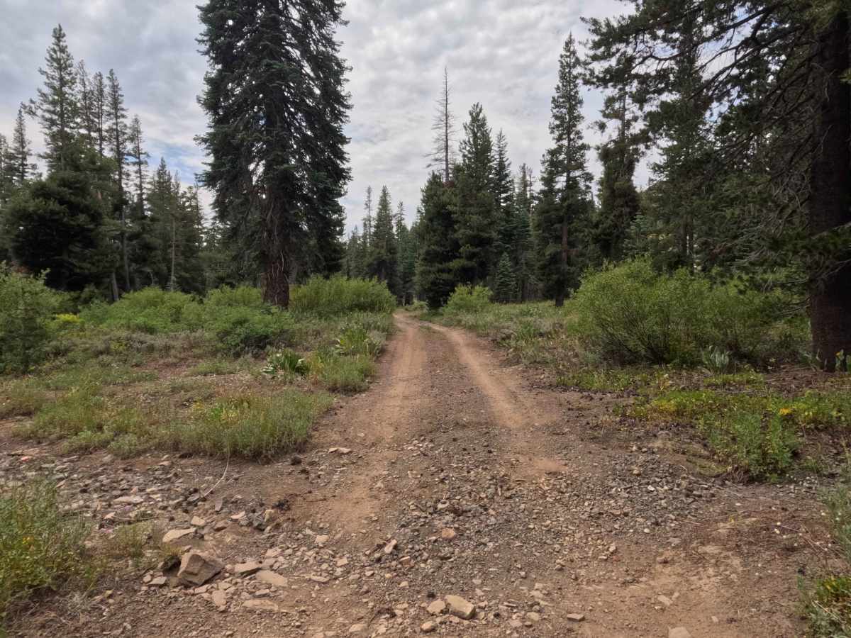 South Charity Road - FS 31068A trail photo