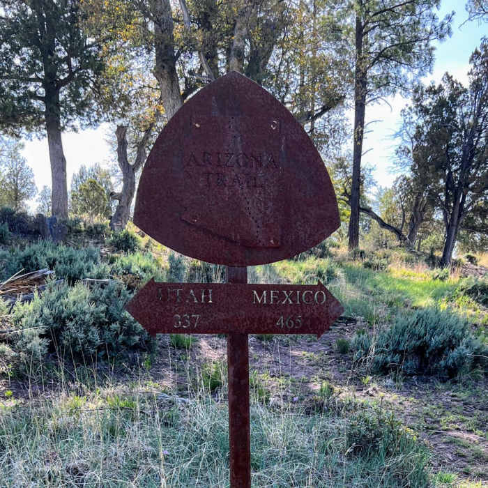 Near Mogollon Rim Loop