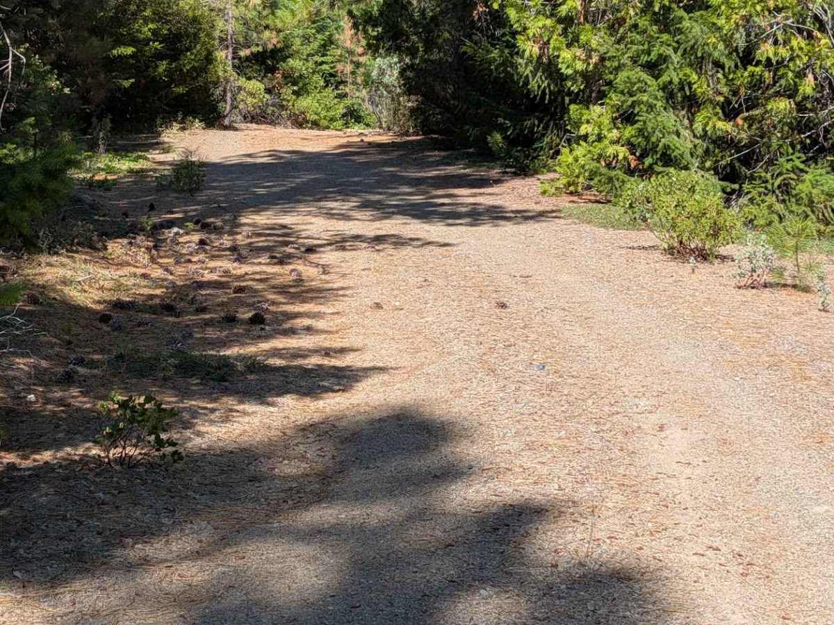 West Dubakella Road - FS 29N68  photo 4