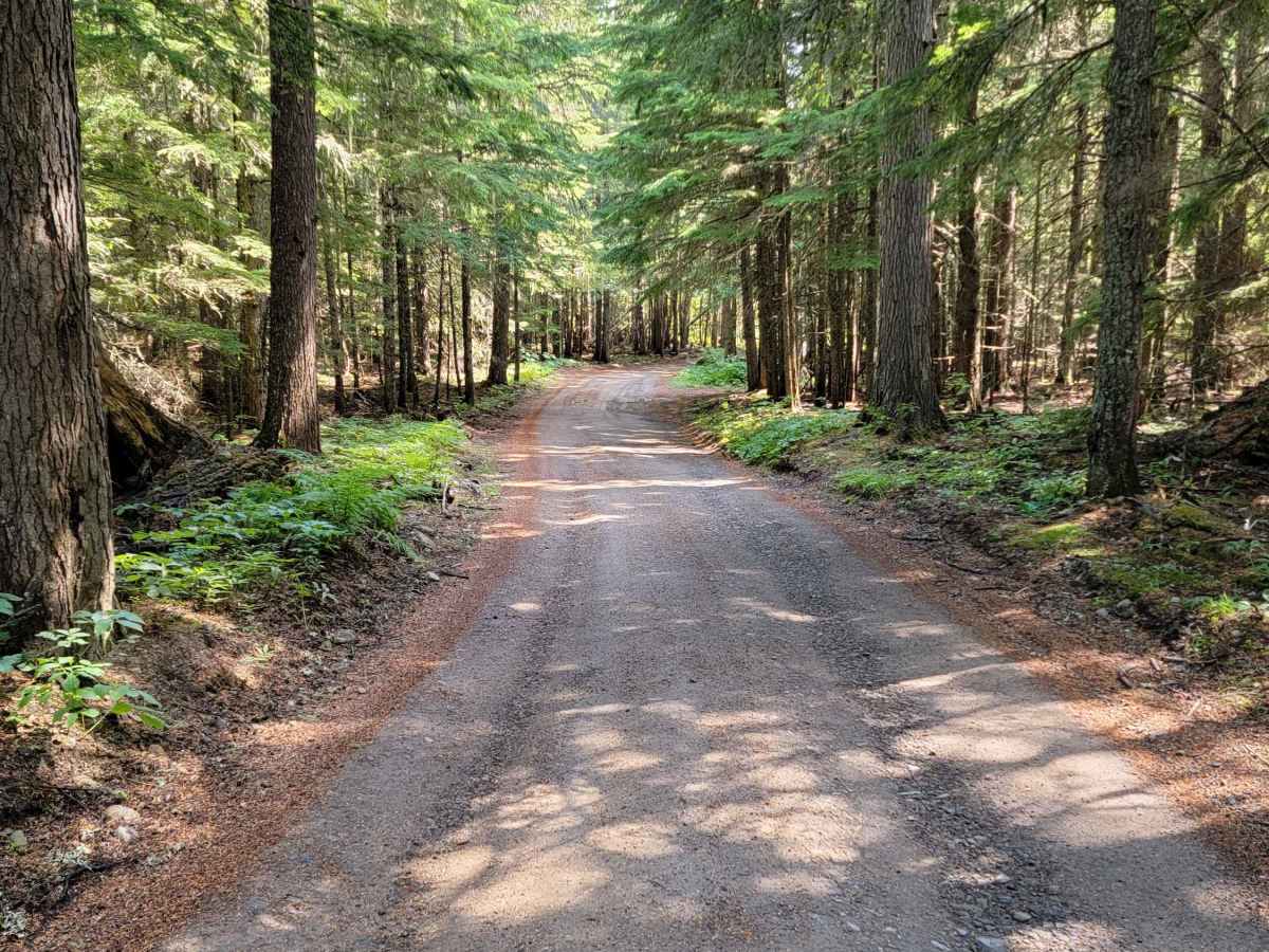 Strawberry Lake Trail photo 3