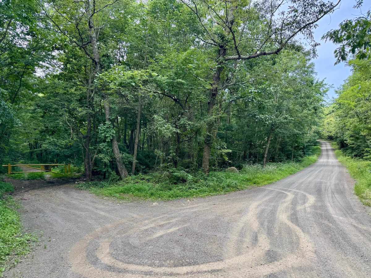 Oak Road photo 4