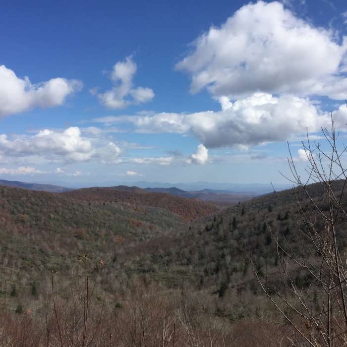 Near Graveyard Ridge Trail