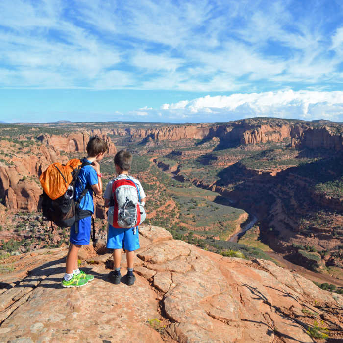 View from Tsegi Point of Long Canyon, Navajo Mountain in the distance. Near Keet Seel