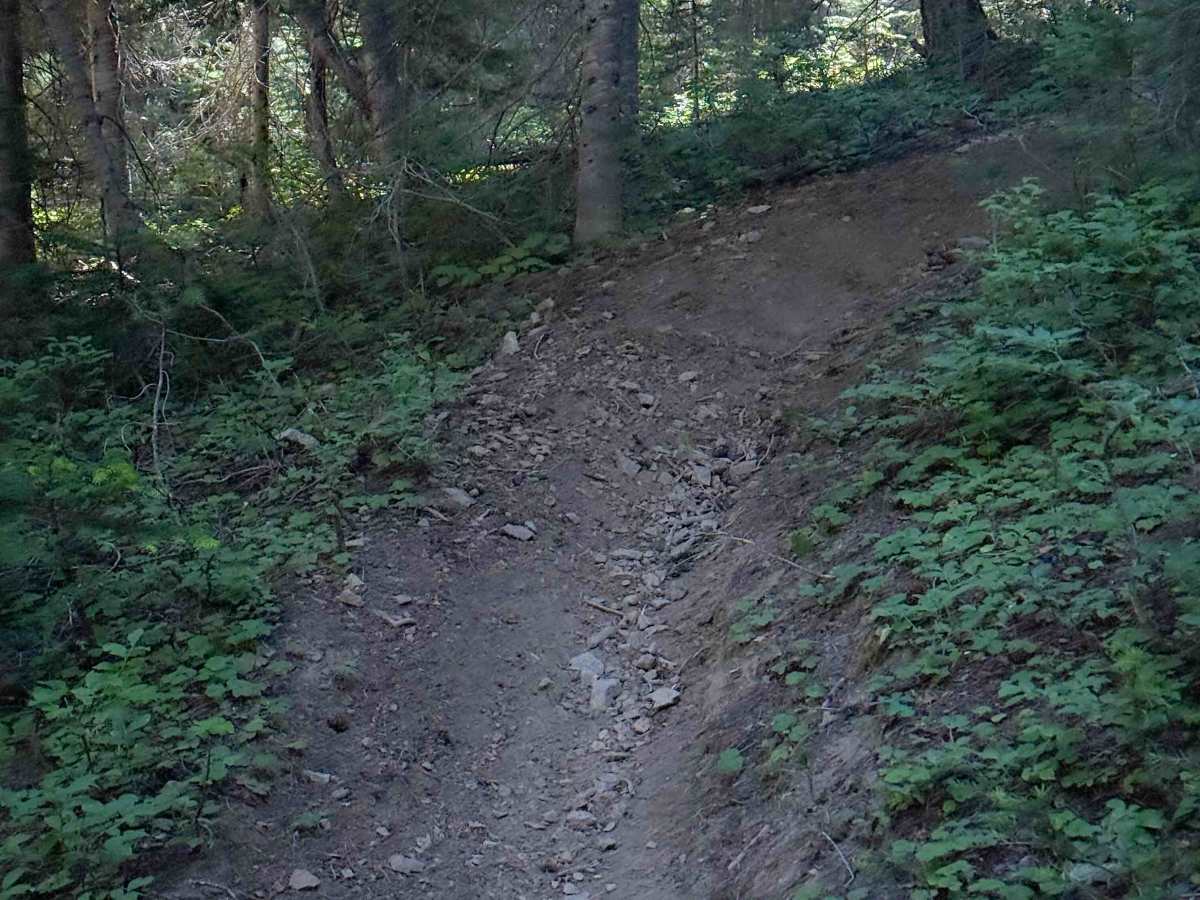 Cub Creek - FS 943A  photo 6