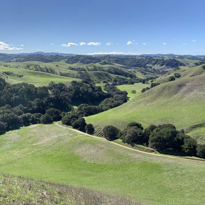 Near Bay Area Ridge Trail: Crockett Hills