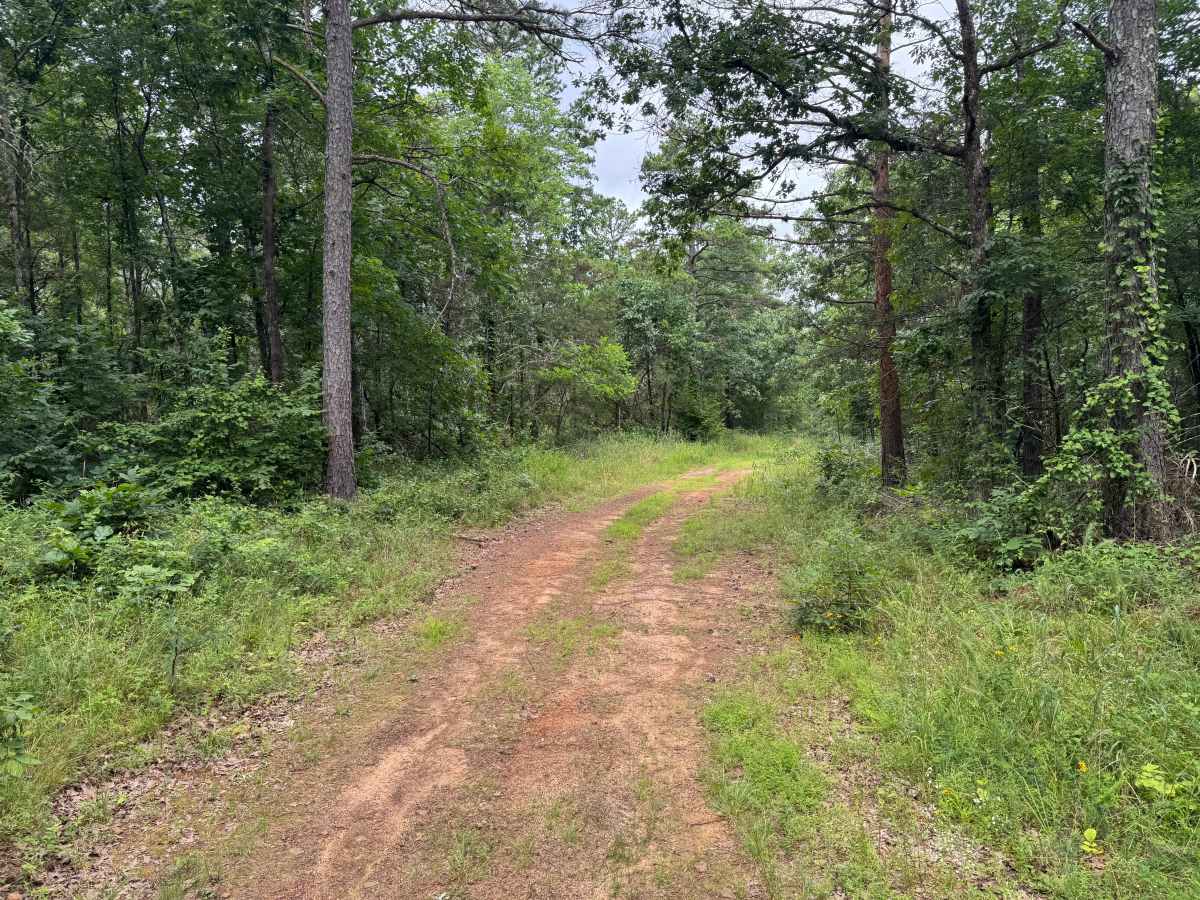 Bigham Road photo 2