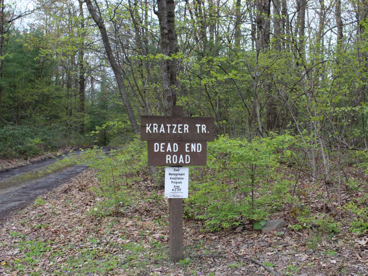 Kratzer Road trail photo