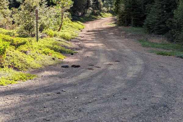 West Tule Road - FS 31N66