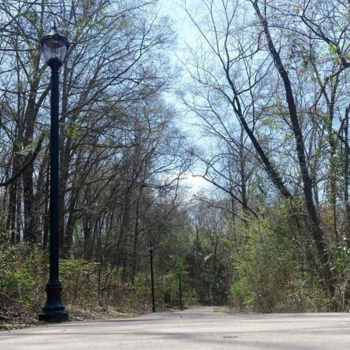 The North Oconee Greenway near Dudley Park Near North Oconee Greenway