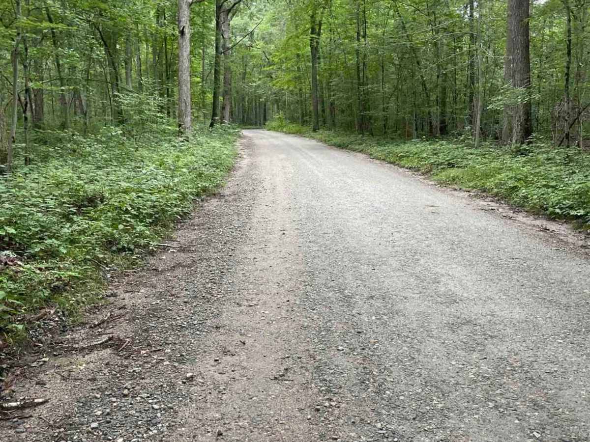 Old Country Road photo 2